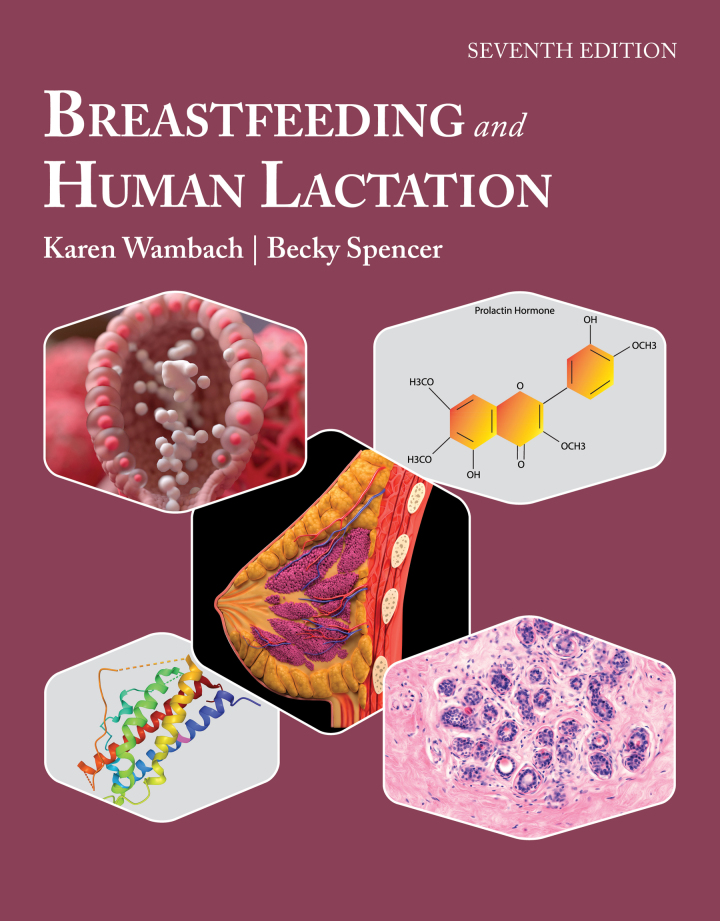 Breastfeeding and Human Lactation 7th Edition