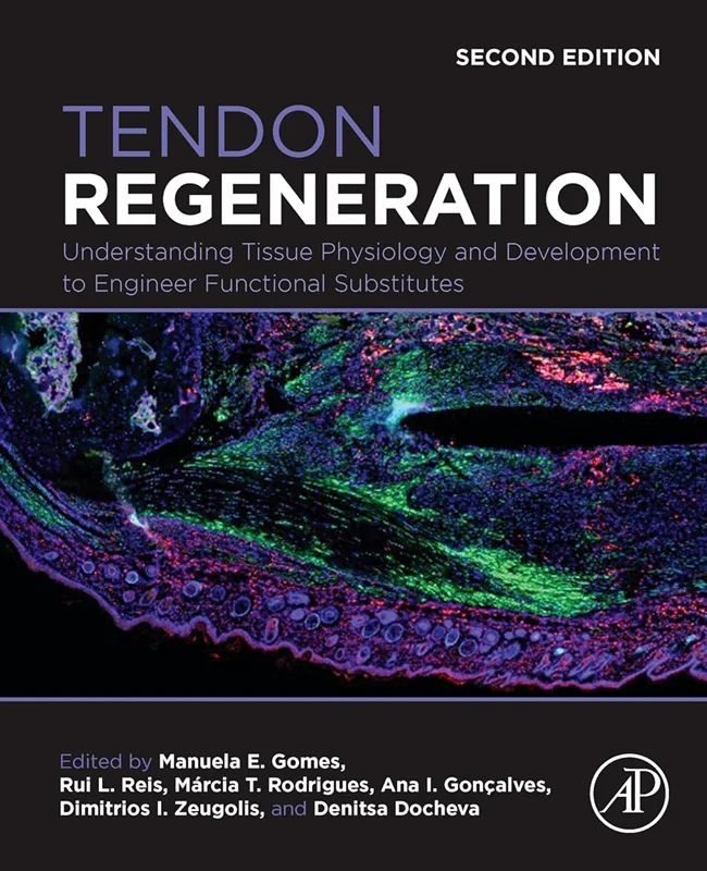 Tendon Regeneration: Understanding Tissue Physiology and Development to Engineer Functional Substitutes 2nd Edition